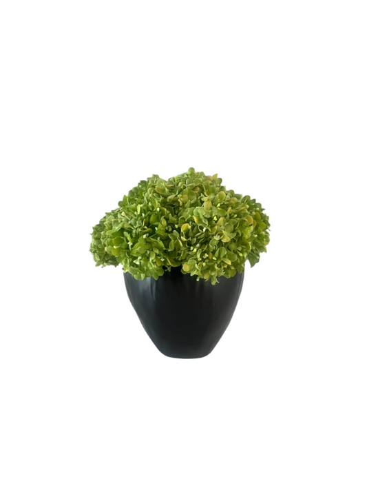 Vibrant green artificial snowball viburnum arranged in a black stoneware pot.