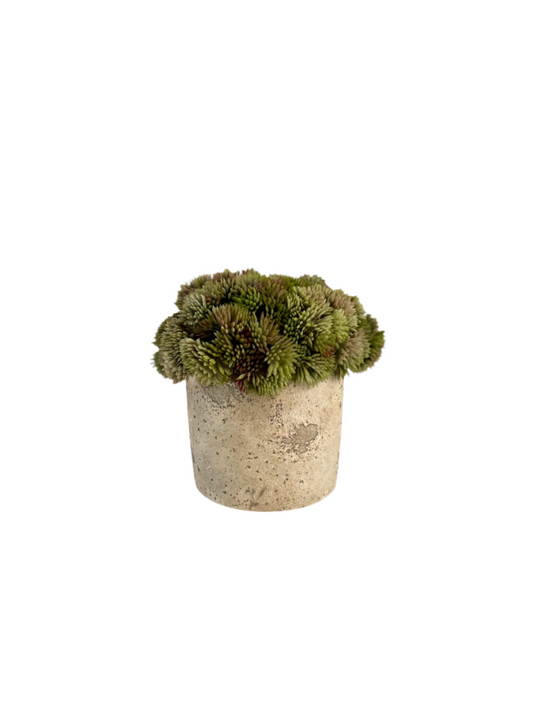 Artificial muted green angelica succulent set in a neutral colour rustic concrete pot.