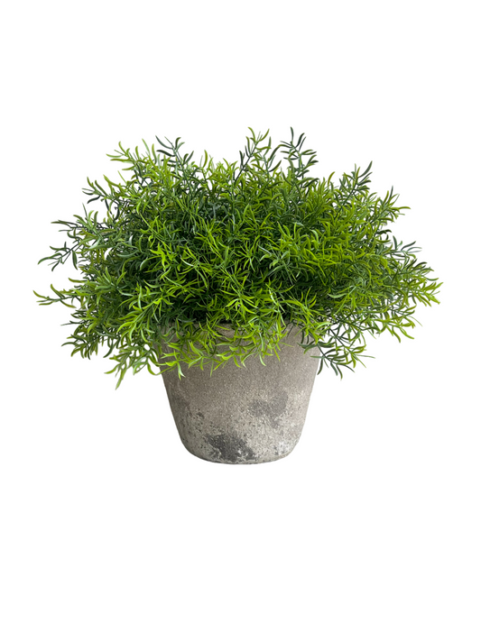 Lush green artificial asparagus fern set in a concrete melange rustic pot.