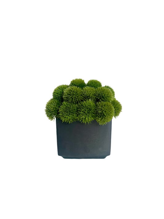 Artificial lush green dianthus set in a matt black cube planter.