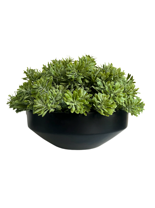 Artificial crossestephium succulent set in a black mango wood bowl planter.