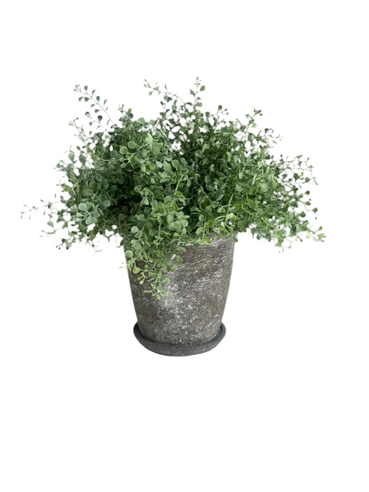 Green artificial button fern plant set in a rustic brown concrete pot with matching saucer.