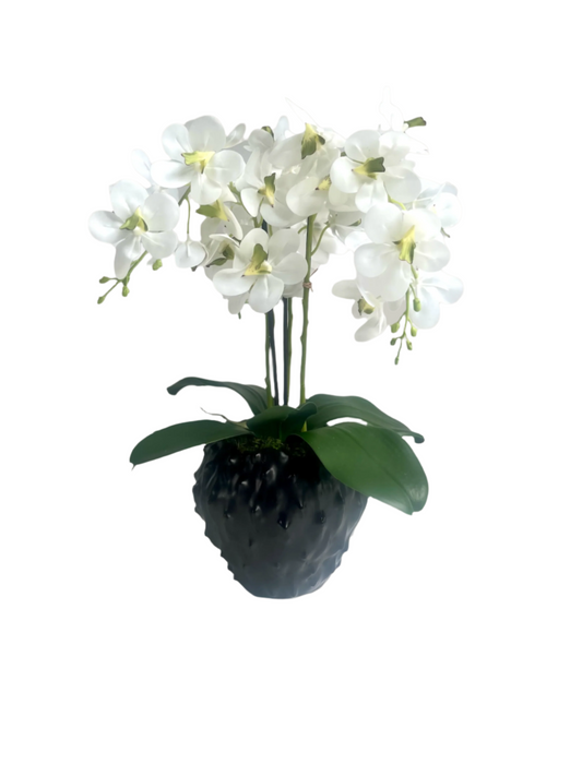 Artificial white orchid surrounded by artificial moss in a contemporary black spiky pot.