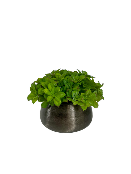 Artificial green succulent set in a bronze coloured brushed metal planter.