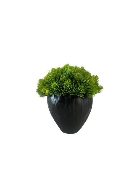 Vibrant green artificial succulent set in a black stoneware pot.