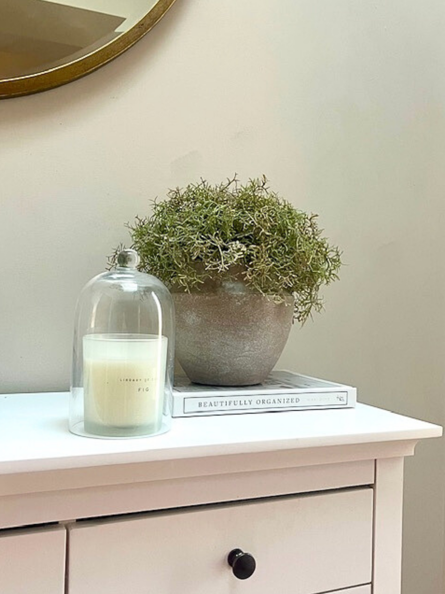 Green/brown spanish moss displayed in a rustic urn style pot on a book displayed next to a candle under a bell jar.