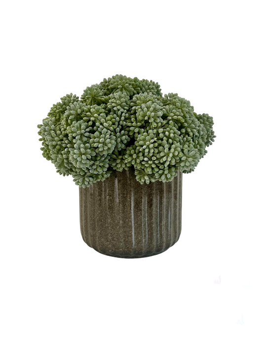 Muted green artificial sedum set in a porcelain ribbed melange green pot.