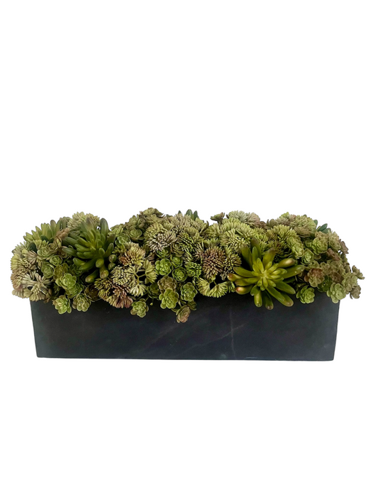 Artificial muted green agave, mini echeveria and angelica succulents set in a black trough planter.