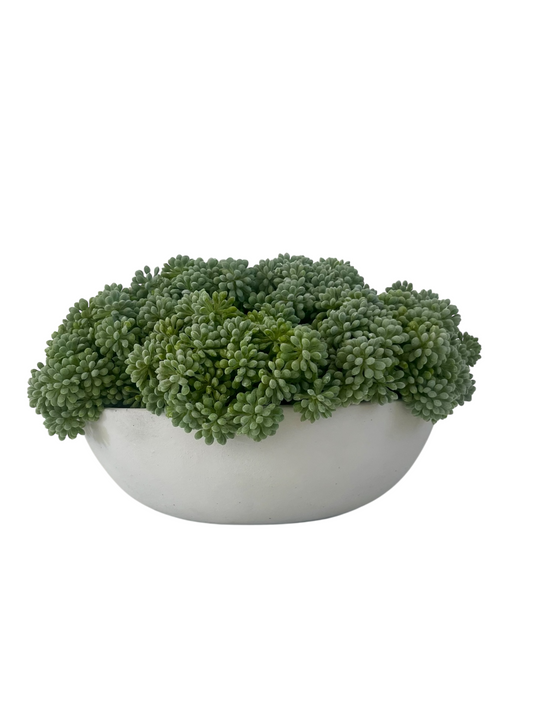 Muted green artificial sedum set in a light grey concrete bowl planter.