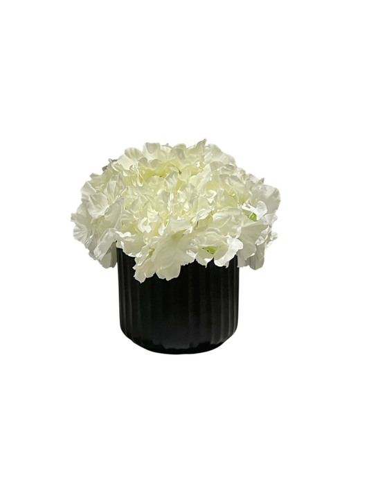 soft cream artificial hydrangea set in a black ribbed porcelain pot.