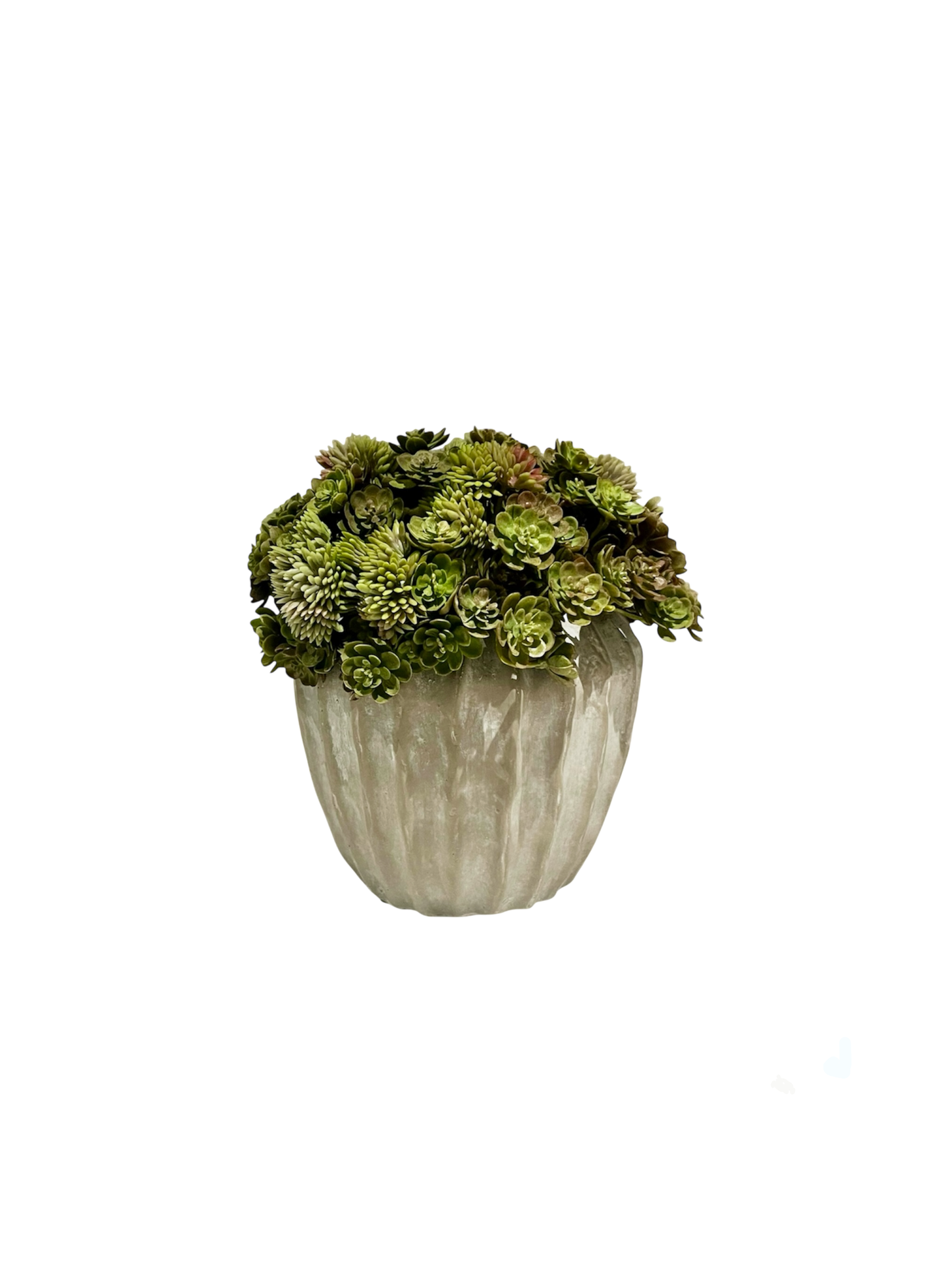 soft green artificial mini echeveria and angelica set in a rustic light grey concrete ridged pot.