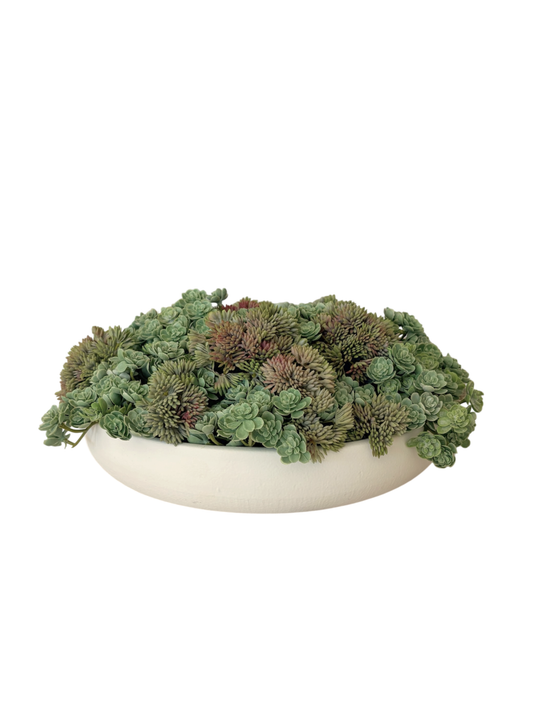A white ceramic bowl planter brimming with soft green artificial mini echeveria and angelica.