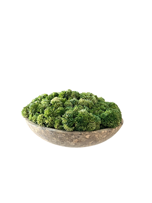 Artificial lush green sedum arranged in a neutral colour stoneware bowl.