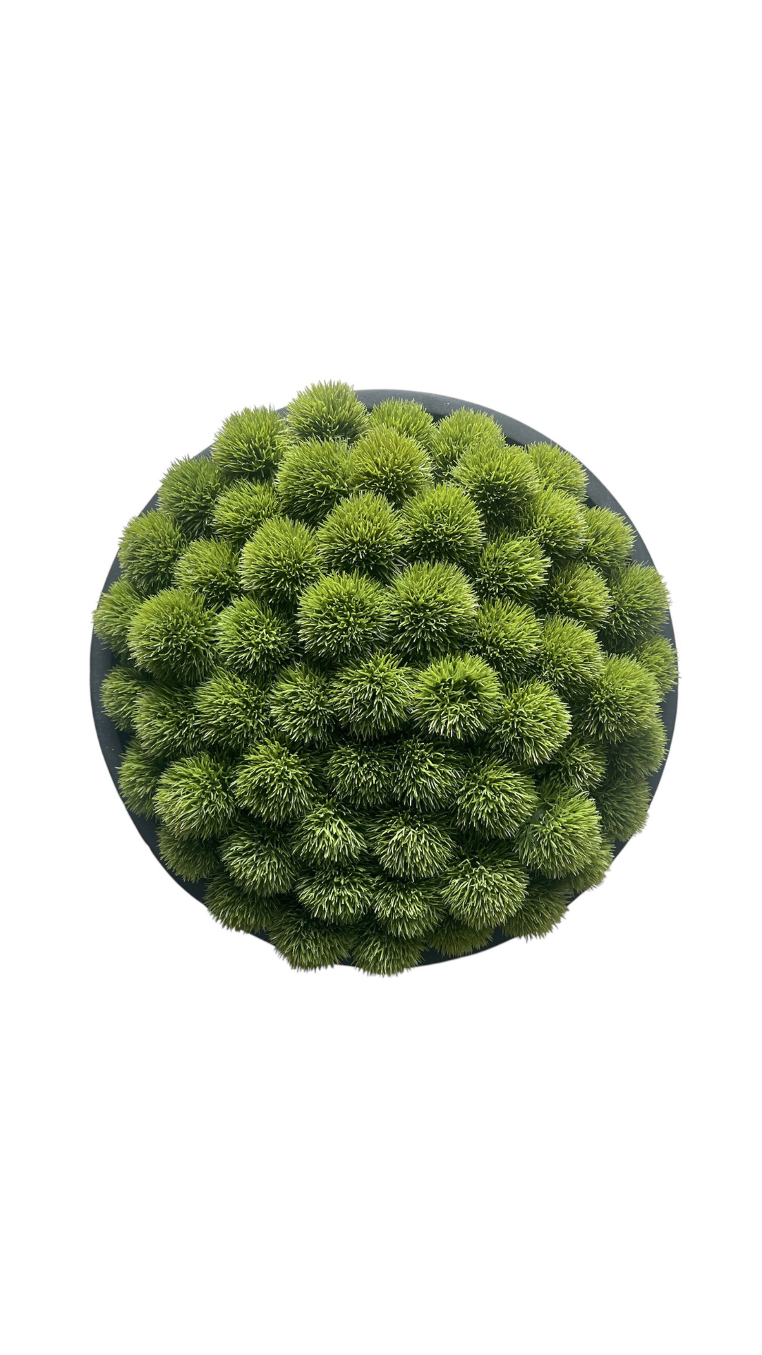 Ariel view of artificial lush green dianthus set in a large black mango wood bowl.