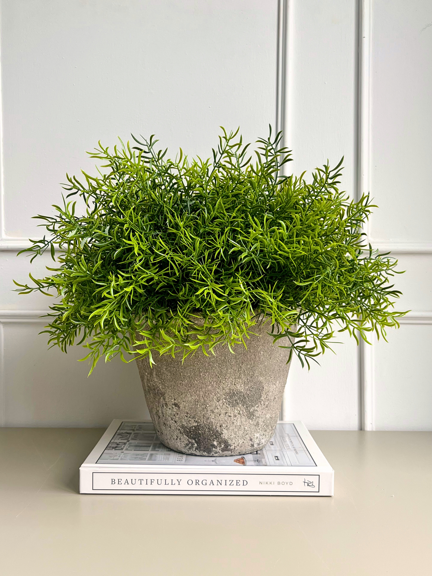 Lush green artificial asparagus fern set in a concrete melange rustic pot displayed on a book.