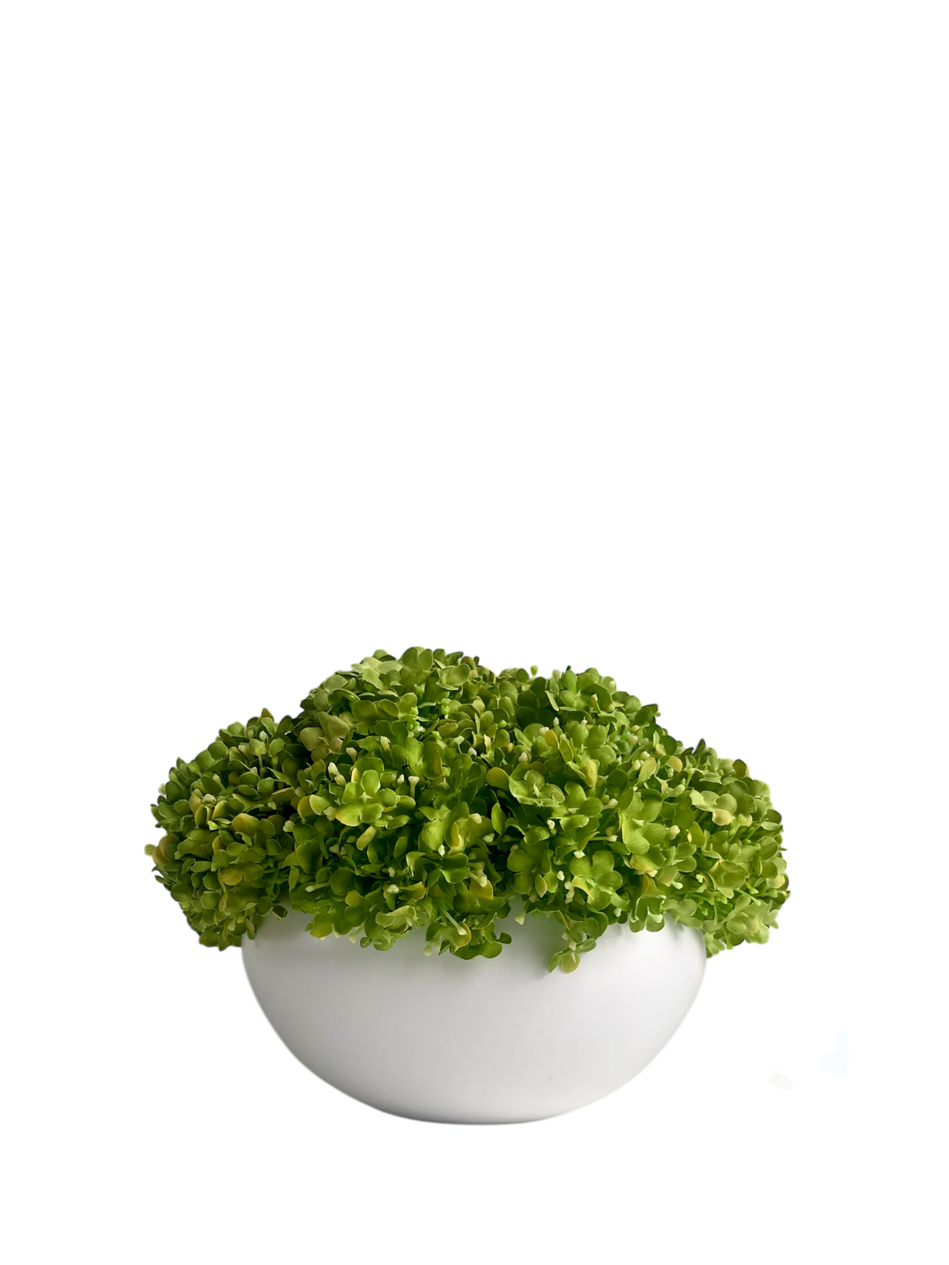vibrant green artifiical snowball viburnum arranged in a crisp white ceramic bowl planter.
