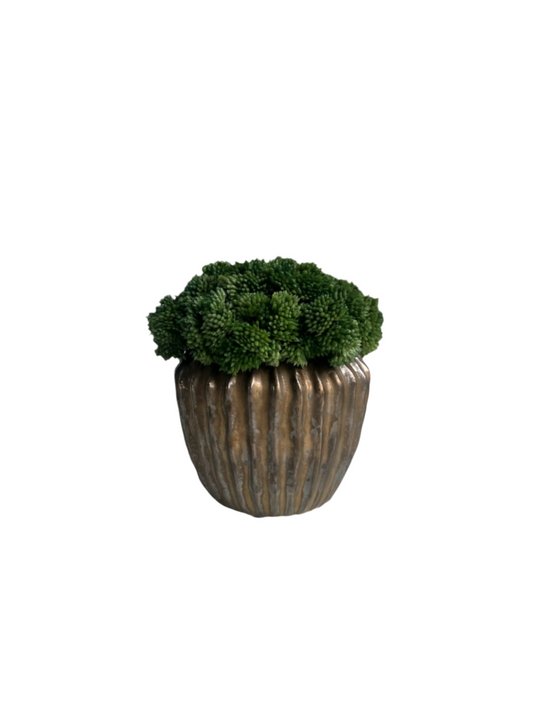 lush green artificial sedum set in a antique bronze finish ridged pot.