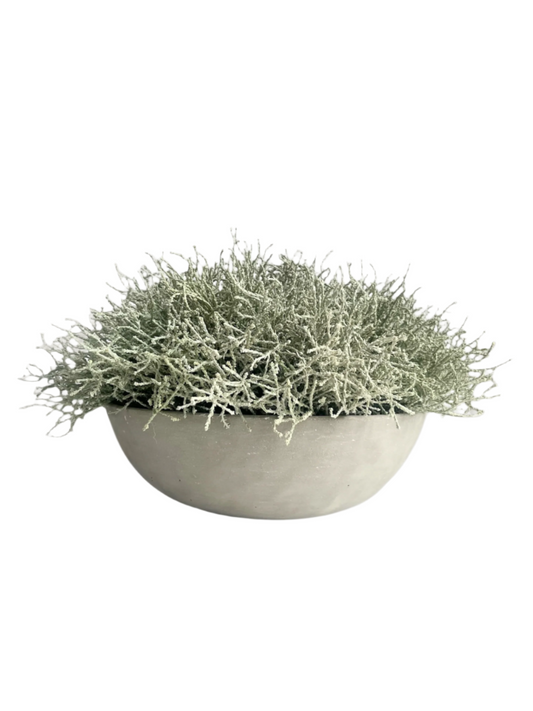 Light grey artificial santolina set in a concrete bowl planter.