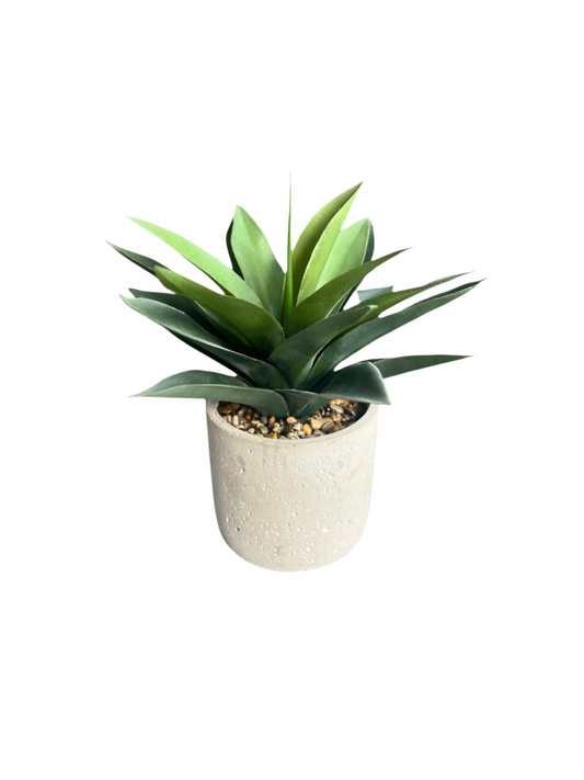 Lush green artificial agave plant set in stones in concrete planter.