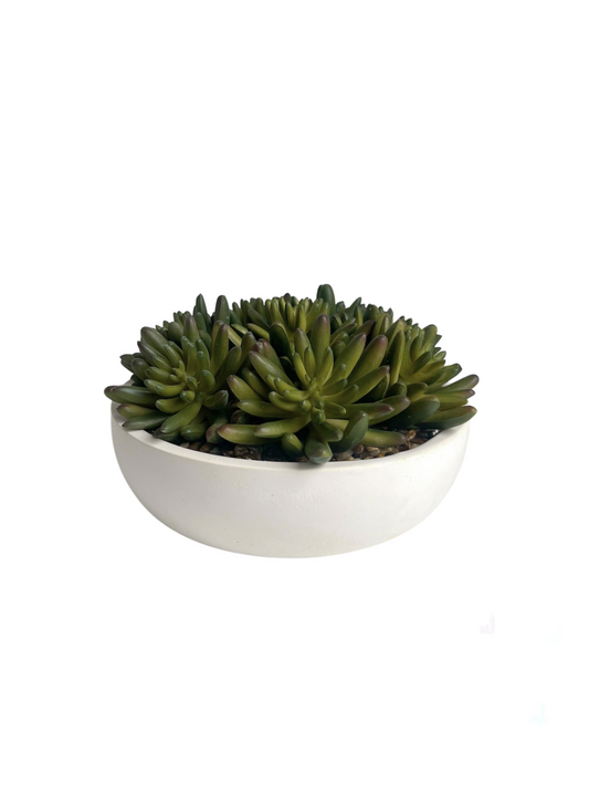 lush green artificial agave succulents set in stones in a cream colour eco resin bowl.