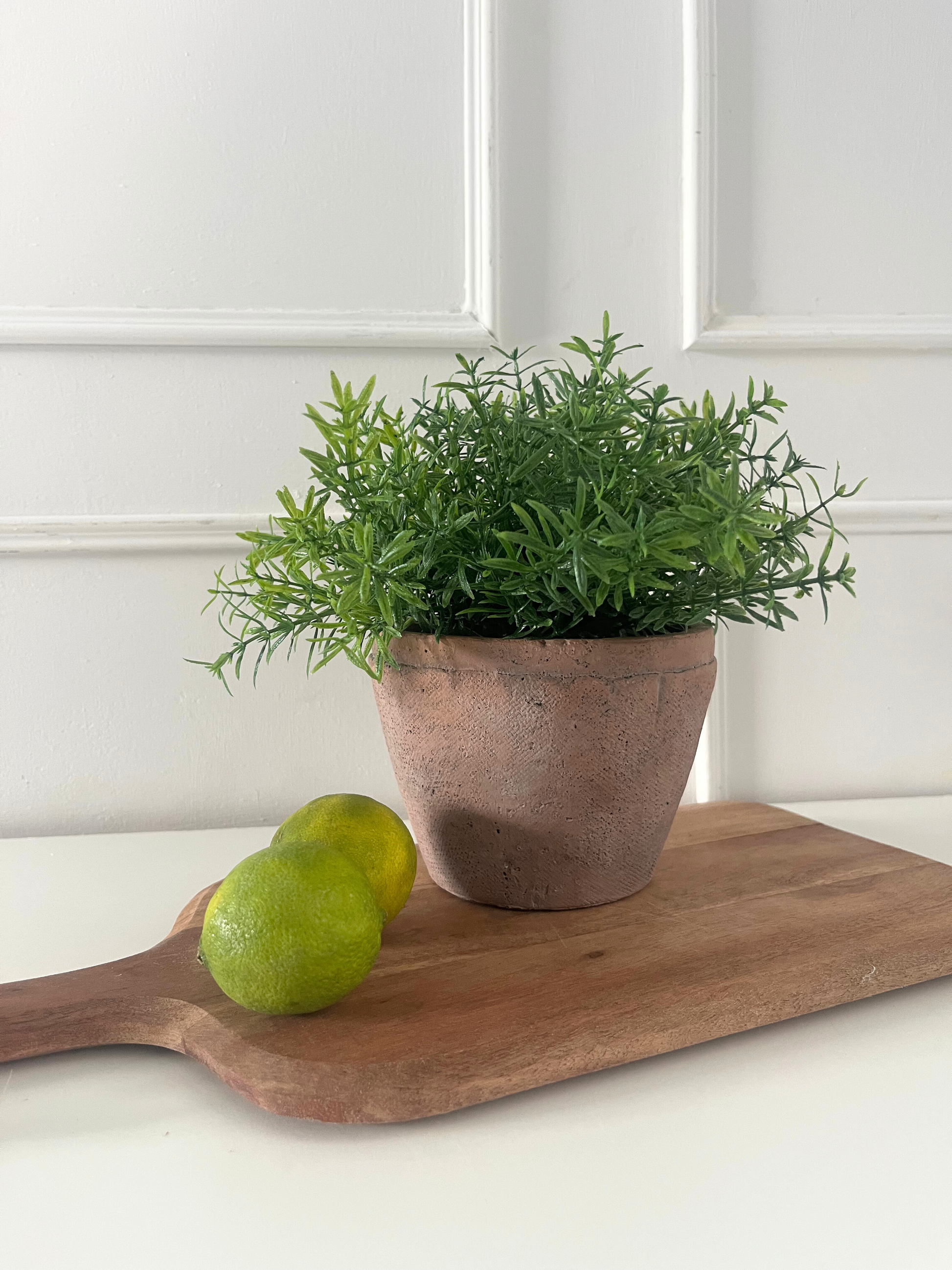Artificial lush green rosemary set in a rustic terracotta pot styled on a chopping board next to some limes.