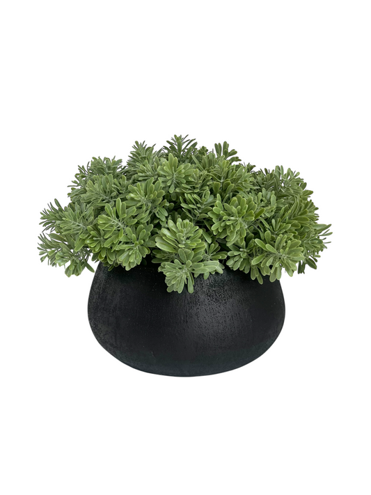 Artificial lush green crossestephium succulent set in a black melange terracotta bowl.