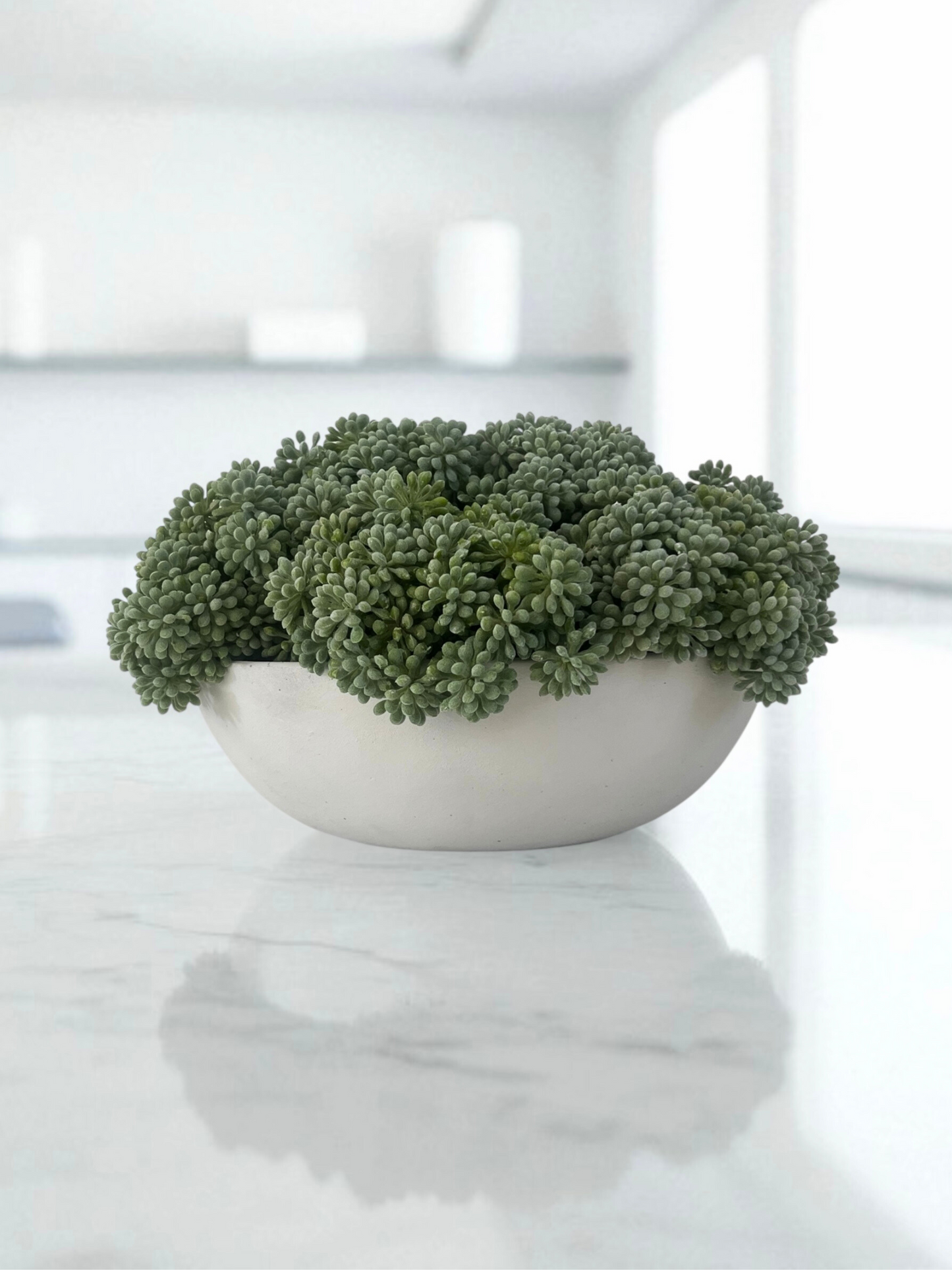 Muted green artificial sedum set in a light grey concrete bowl planter.