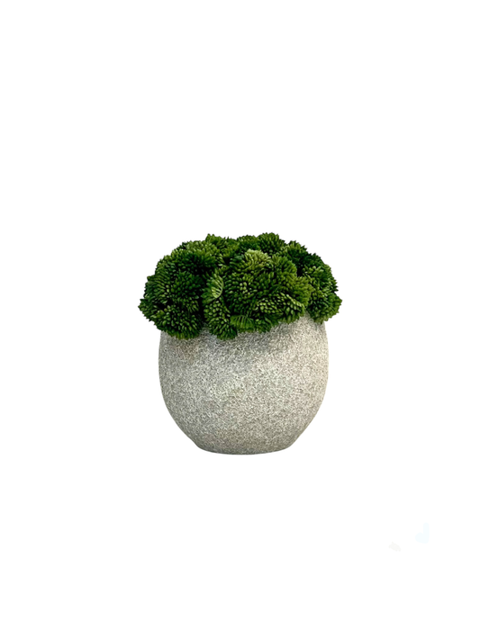 Lush green artificial sedum set in a rustic grey pot