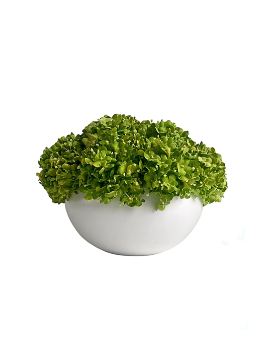 vibrant green artiiical snowball viburnum arranged in a crisp white ceramic bowl planter.