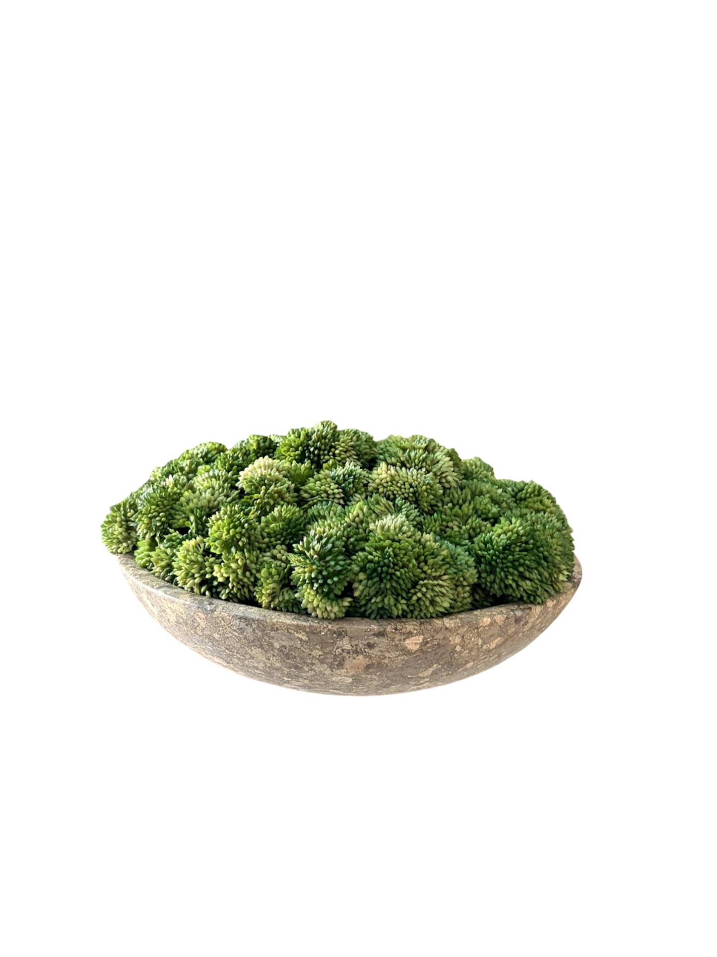 Artificial lush green sedum arranged in a neutral colour stoneware bowl.
