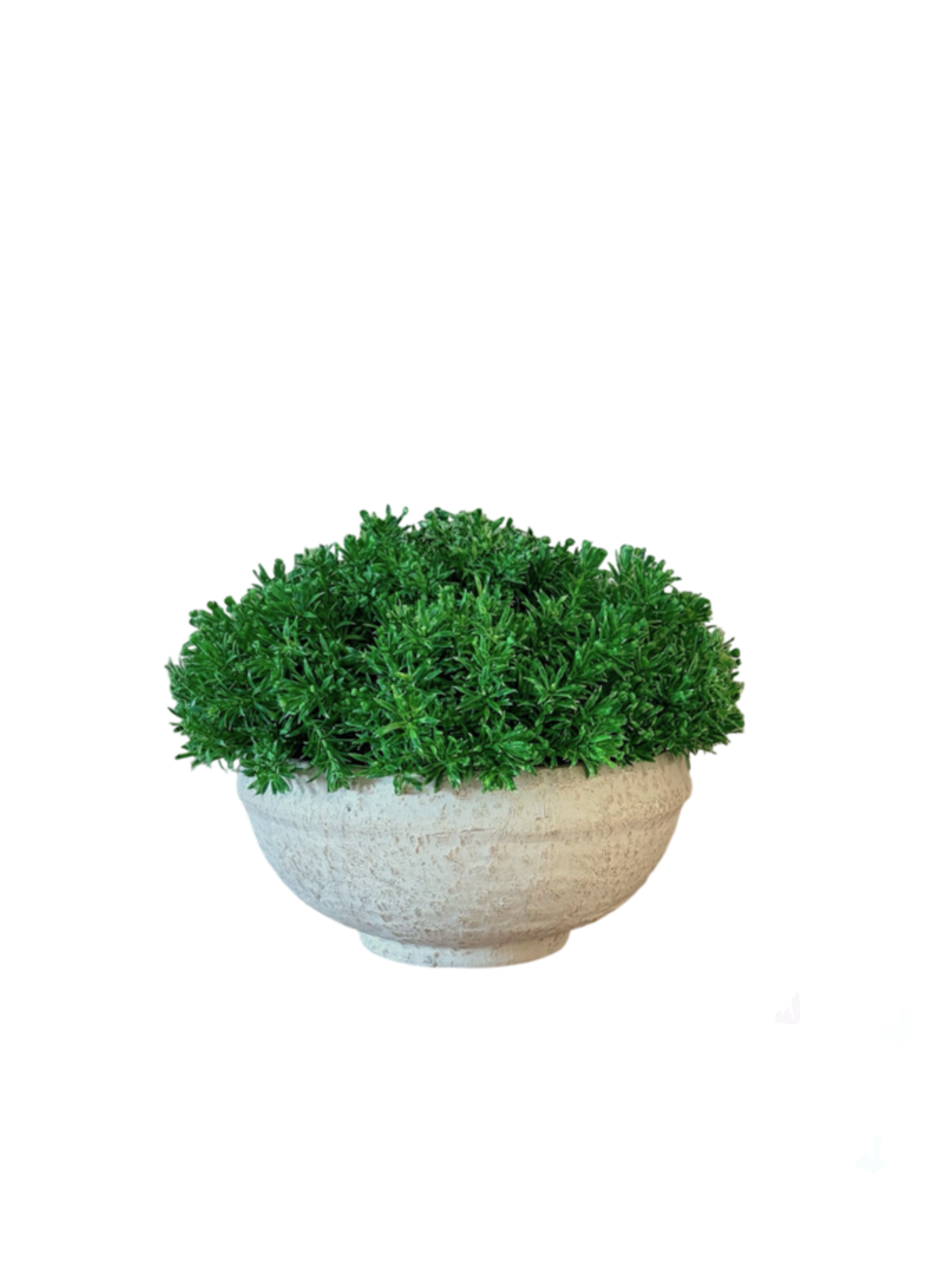 A round green artificial plant or shrub with dense textured foliage, displayed in a shallow beige stone-like planter against a plain white background.